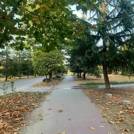 Villa Sapanca Siesta Sakarya (Marmara)